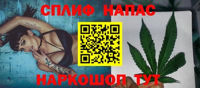СК Будённовск