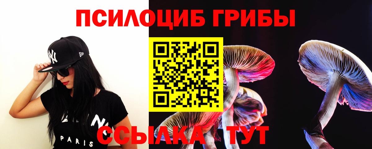Псилоцибиновые грибы Psilocybe  Вход с VPN  Нальчик 